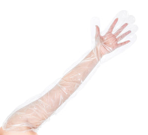 KingSeal Poly Shoulder Length Disposable Gloves, 34 Inch x 1.6 mil Thickness, OSFM - 100 Pack